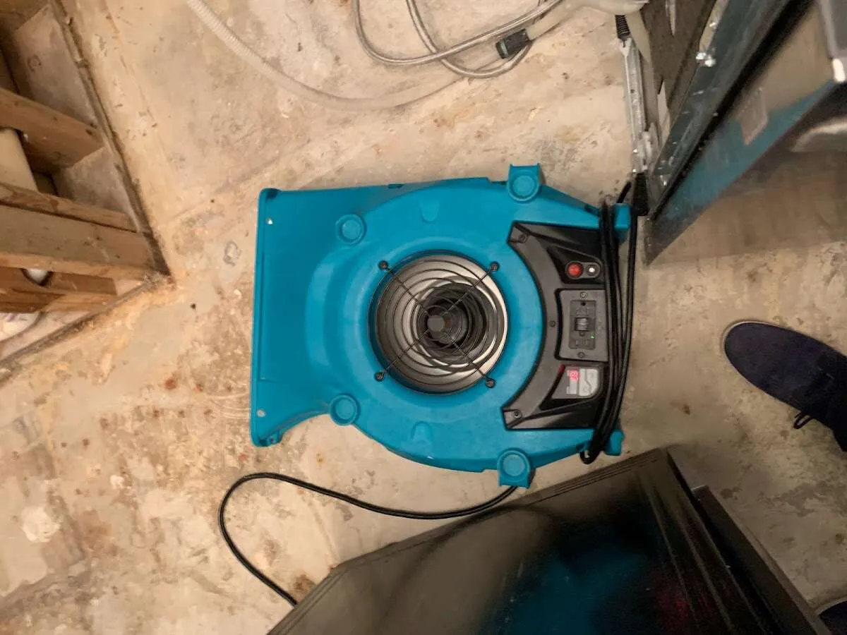 Air mover drying equipment for Mold Remediation & Removal in Jeffersontown